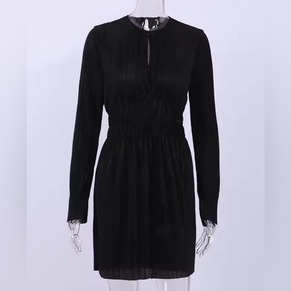 Elegant Pleated Long Sleeve Dress